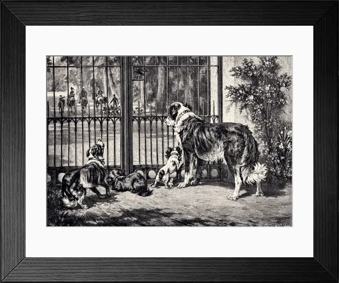 Framed Print : THE DOG FAMILY (XXXL) Framed Print : THE DOG FAMILY (XXXL)