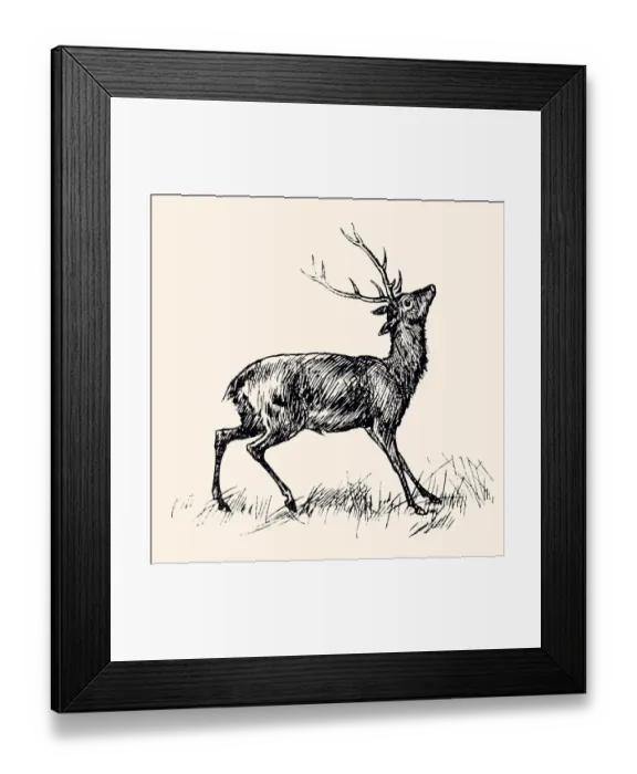 Framed Print : DEER (XXXL) Framed Print : DEER (XXXL)