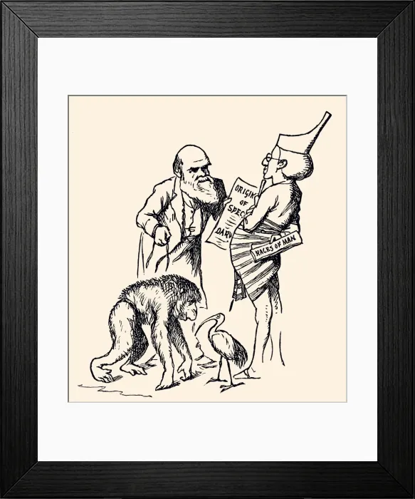 Framed Print : CHARLES DARWIN (XXXL) Framed Print : CHARLES DARWIN (XXXL)
