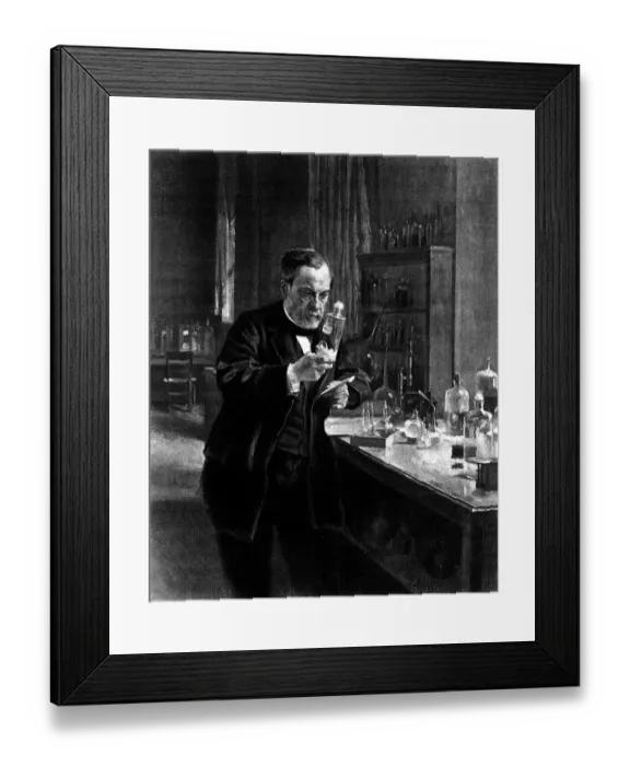 Framed Print : Louis Pasteur (1849-1895) Framed Print : Louis Pasteur (1849-1895)