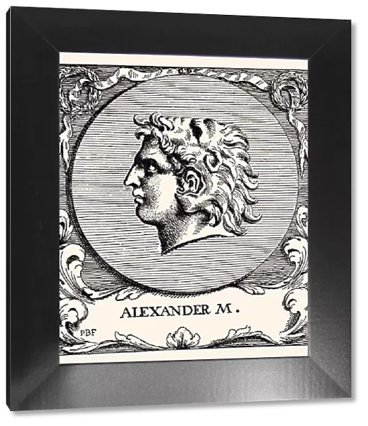 ALEXANDER THE GREAT (XXXL)