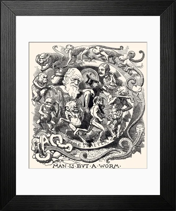 Framed Print : CHARLES DARWIN: THEORY OF EVOLUTION (XXXL) Framed Print : CHARLES DARWIN: THEORY OF EVOLUTION (XXXL)