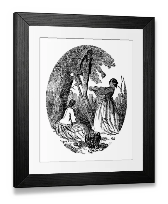 Framed Print : Apple picking Framed Print : Apple picking