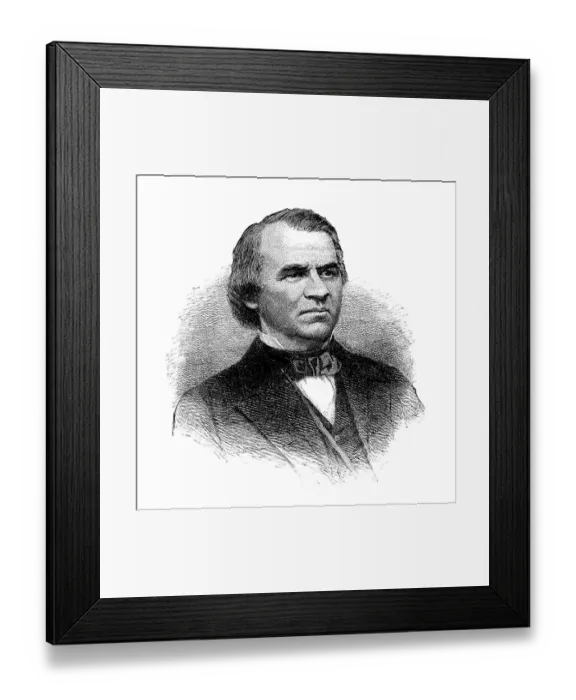 Framed Print : Andrew Johnson, seventeenth President of the United States Framed Print : Andrew Johnson, seventeenth President of the United States