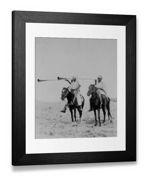 Framed Print : Kara-Kara Trumpeters Framed Print : Kara-Kara Trumpeters