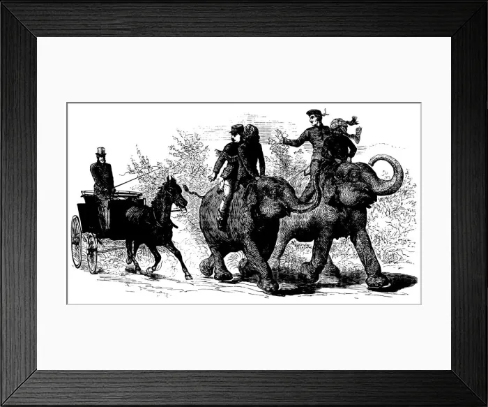 Framed Print : Elephant transportation - The Illustrated London News