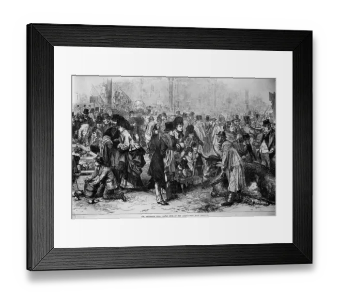 Framed Print : Cattle Show Framed Print : Cattle Show