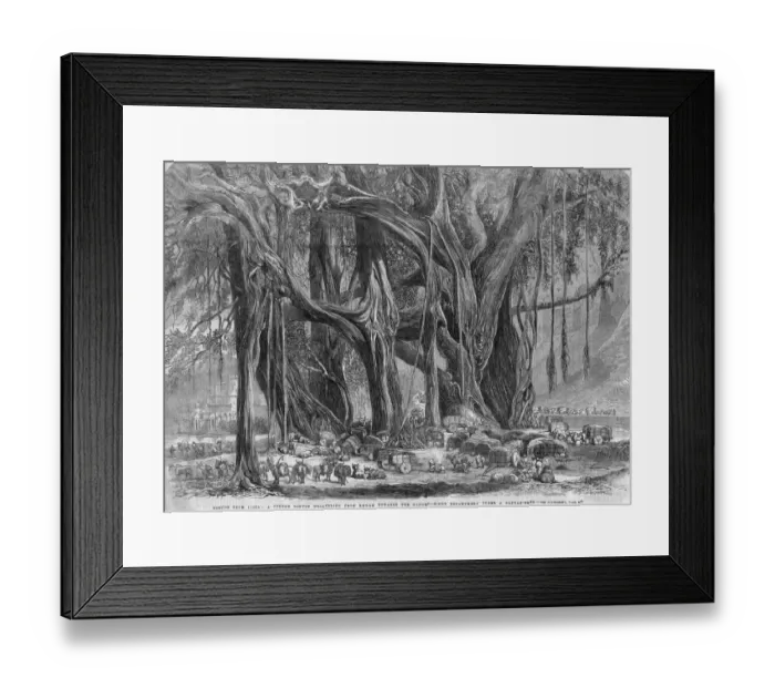 Framed Print : Indian Convoy Framed Print : Indian Convoy
