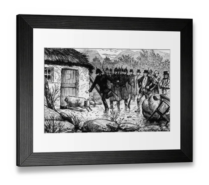 Framed Print : Pig Headed Framed Print : Pig Headed