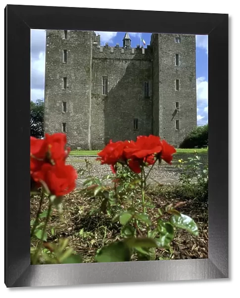 Low angle view of a castle, Bunratty Castle, Clare, Republic of Ireland