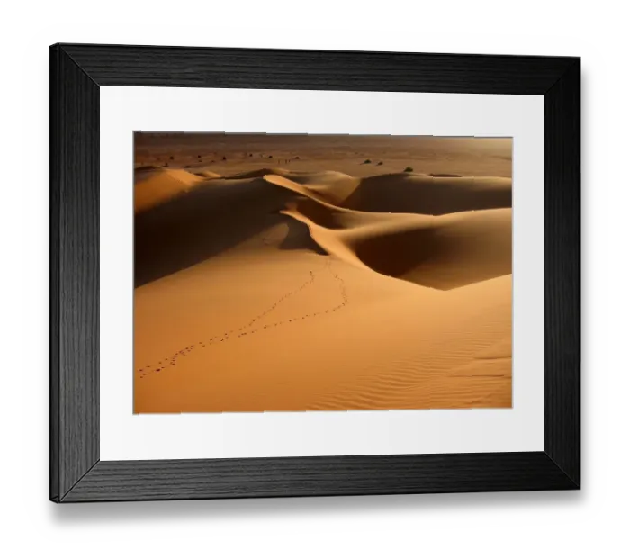 Framed Print : Soft evening light on Sahara sand dunes