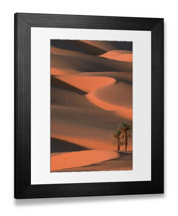 Framed Print : Date Palms, Sahara, Erg Ubari, Lybia / (Phoenix dactylifera) Framed Print : Date Palms, Sahara, Erg Ubari, Lybia / (Phoenix dactylifera)