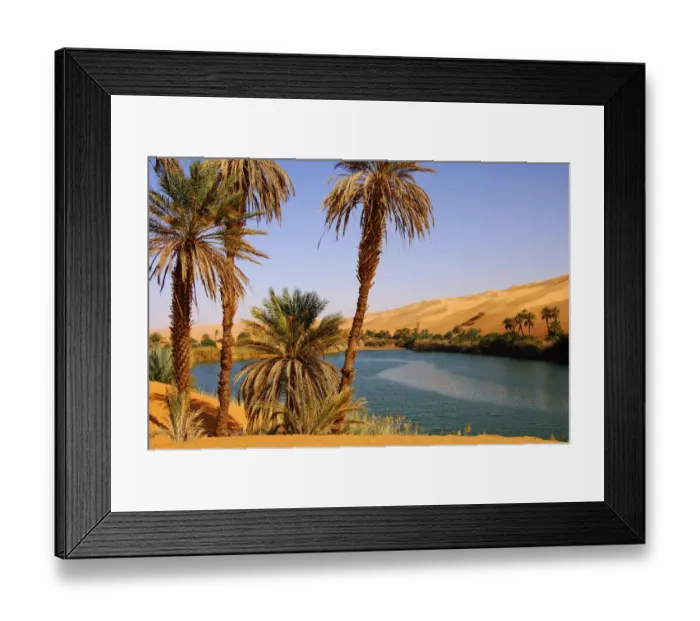 Framed Print : Palm trees on the shore of the Um el Maa lake in the Ubari Sand Sea, Sahara, Libya Framed Print : Palm trees on the shore of the Um el Maa lake in the Ubari Sand Sea, Sahara, Libya