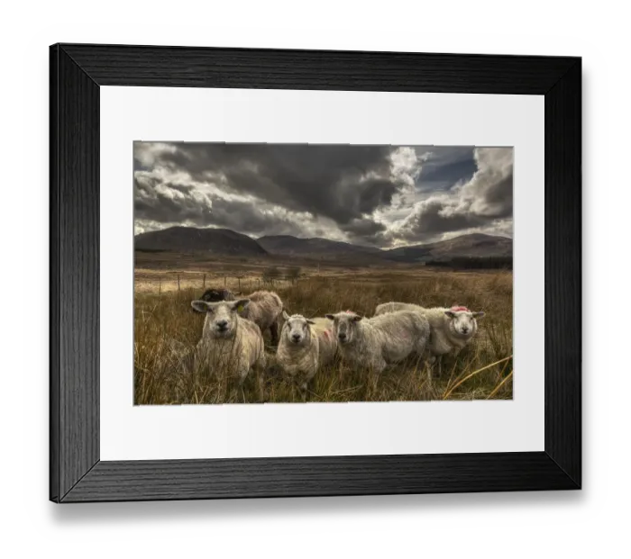 Framed Print : This land we roam Framed Print : This land we roam
