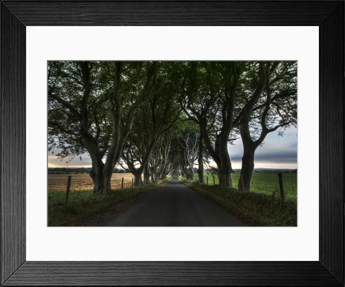 Framed Print : The Dark Hedges