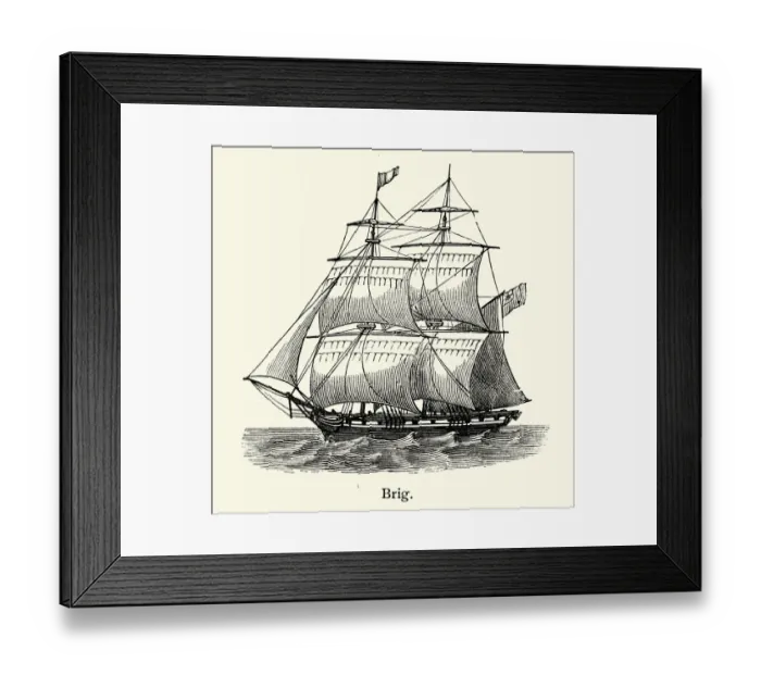 Framed Print : Brig, Sailing ship, sailing vessel defined by its rig, two masts which are both square Framed Print : Brig, Sailing ship, sailing vessel defined by its rig, two masts which are both square