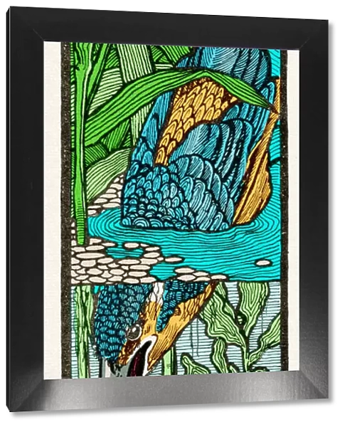 Common kingfisher fishing in river drawing art nouveau 1898