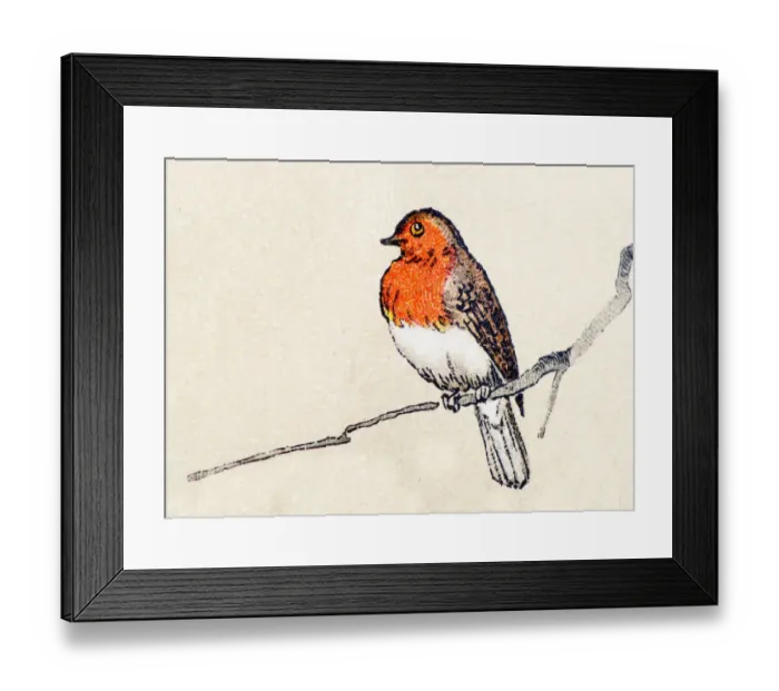 Framed Print : Robin, birds animals antique ilustration Framed Print : Robin, birds animals antique ilustration