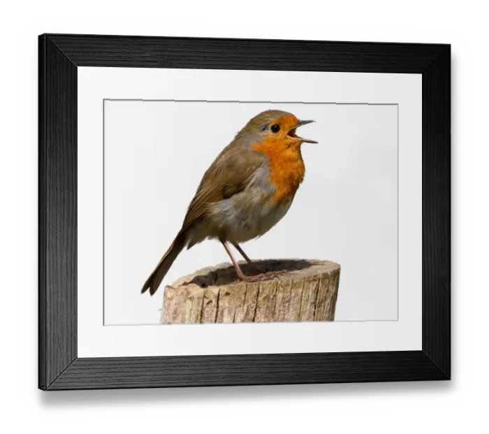Framed Print : Things You are Thankful For Framed Print : Things You are Thankful For