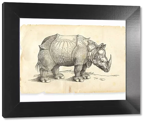 Albrecht Durer rhinoceros woodcut 1535