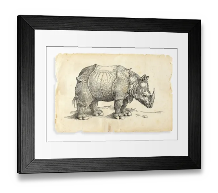 Framed Print : Albrecht Durer rhinoceros woodcut 1535