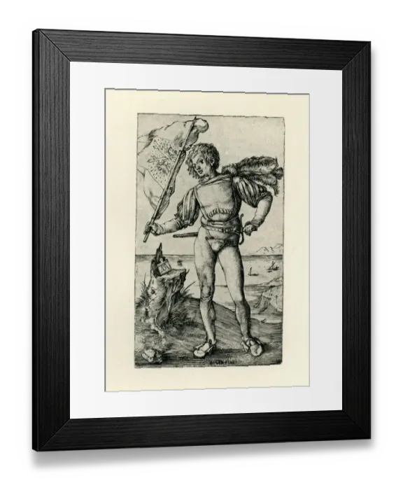 Framed Print : The ensign