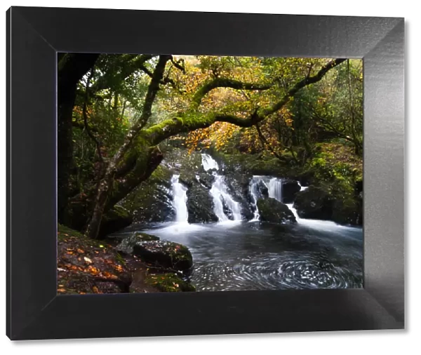 Waterfall in Glengarriff Nature Reserve, Ireland