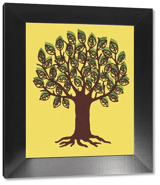Tree with Yellow Background