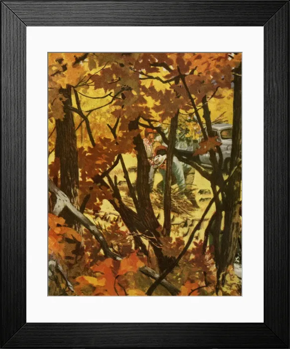 Framed Print : Autumn Woods Framed Print : Autumn Woods