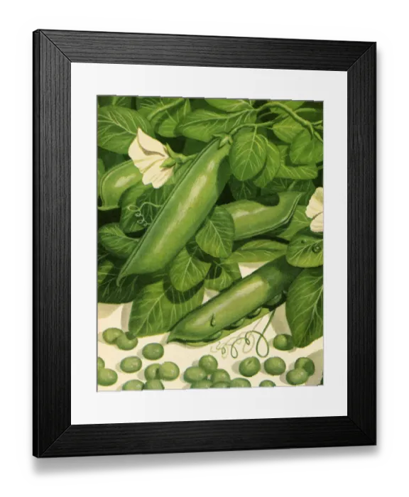 Framed Print : Peapods. http: /  / csaimages.com / images / istockprofile / csa_vector_dsp.jpg