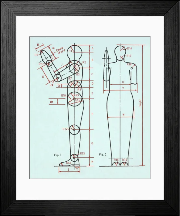 Framed Print : Diagram of Human Figure