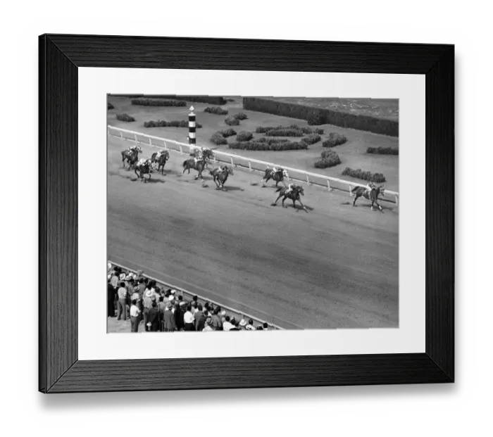 Framed Print : Horse race Framed Print : Horse race