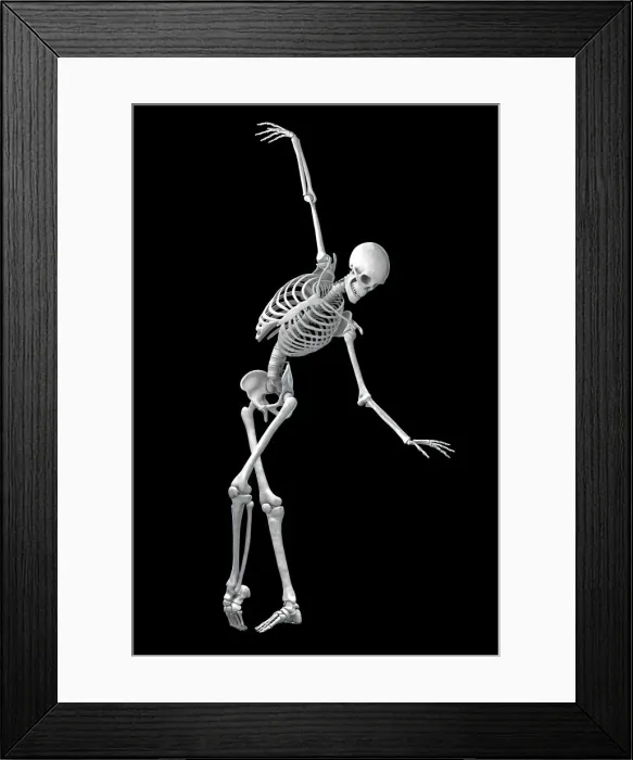 Framed Print : Anatomy of a dancer, illustration