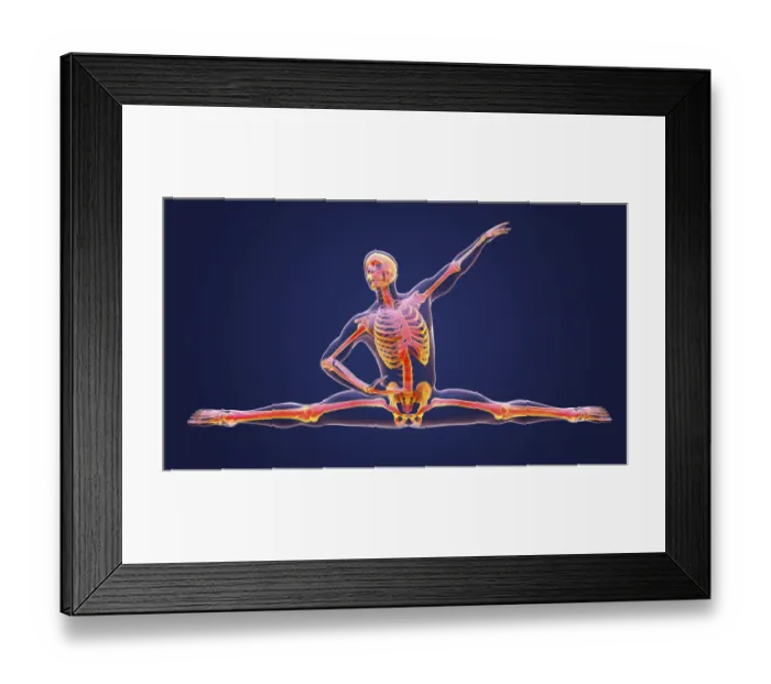 Framed Print : Anatomy of a dancer, illustration Framed Print : Anatomy of a dancer, illustration