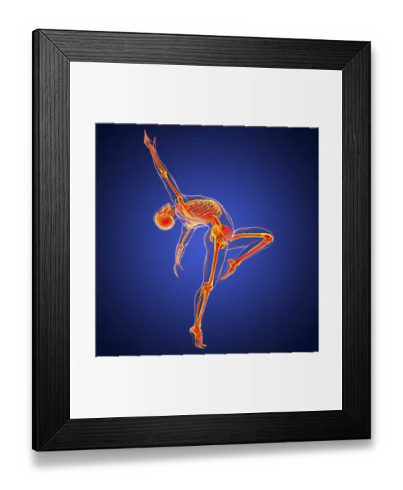 Framed Print : Anatomy of a dancer, illustration Framed Print : Anatomy of a dancer, illustration