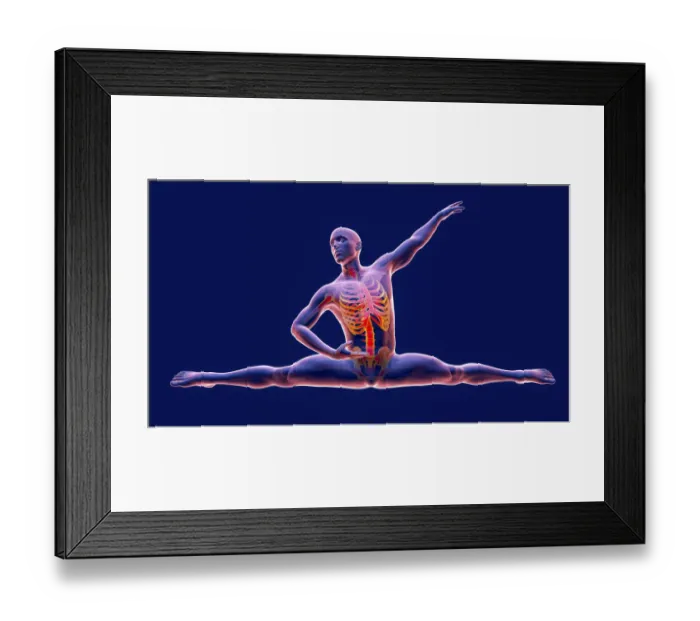Framed Print : Anatomy of a dancer, illustration