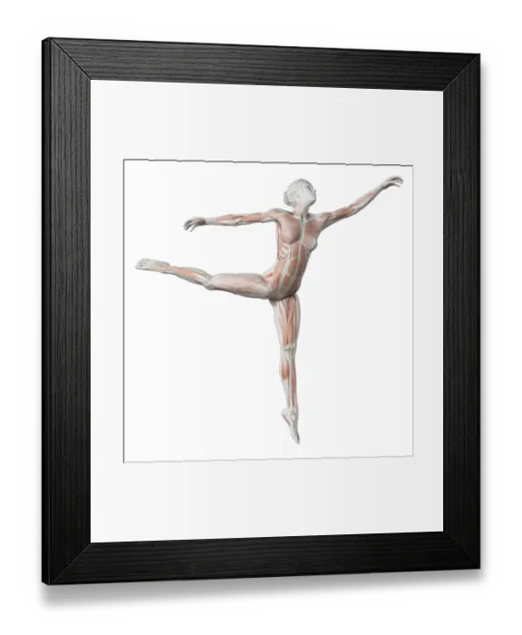 Framed Print : Female dancer, illustration
