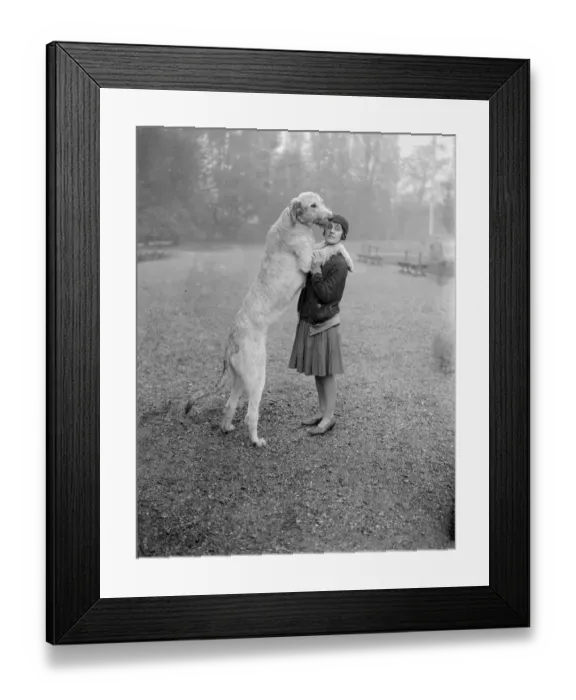 Framed Print : Irish Wolfhound