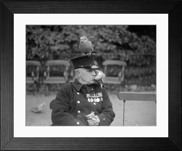 Framed Print : Pigeon Kisser Framed Print : Pigeon Kisser