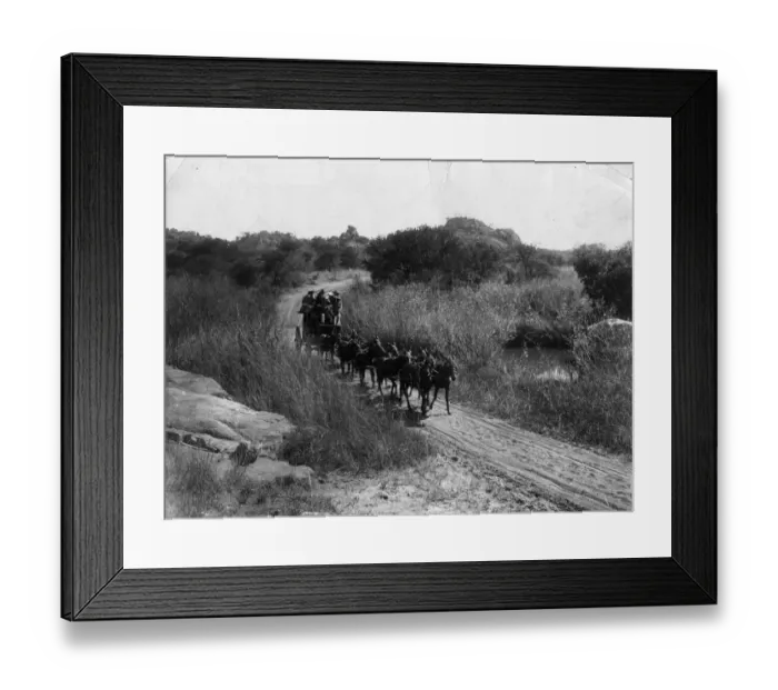 Framed Print : Coach And Ten
