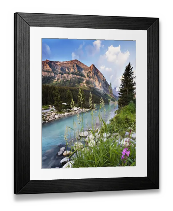 Framed Print : Dramatic Landscape with Flowers, Grass, Mountains and Water at Lake Louise