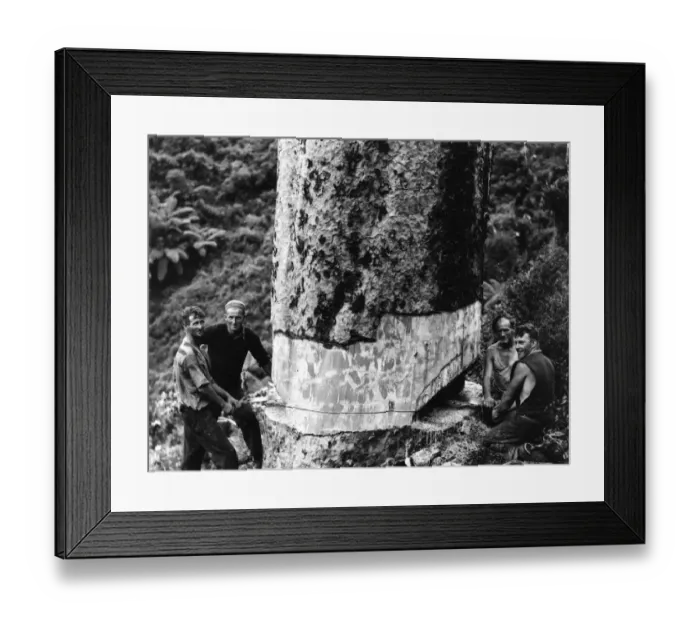 Framed Print : Cheerful At Work Framed Print : Cheerful At Work