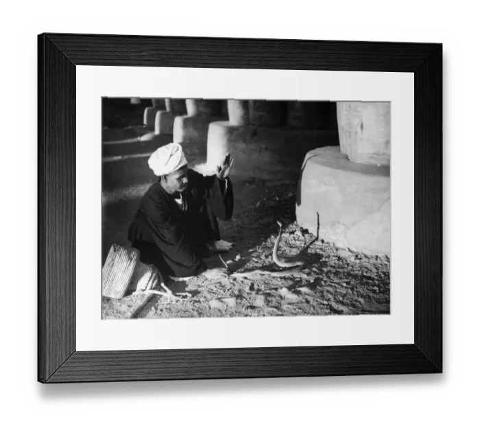 Framed Print : Snake Charmer Framed Print : Snake Charmer