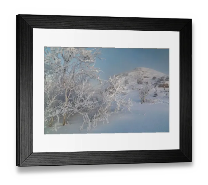 Framed Print : Trees in a strong winter frost on the seashore