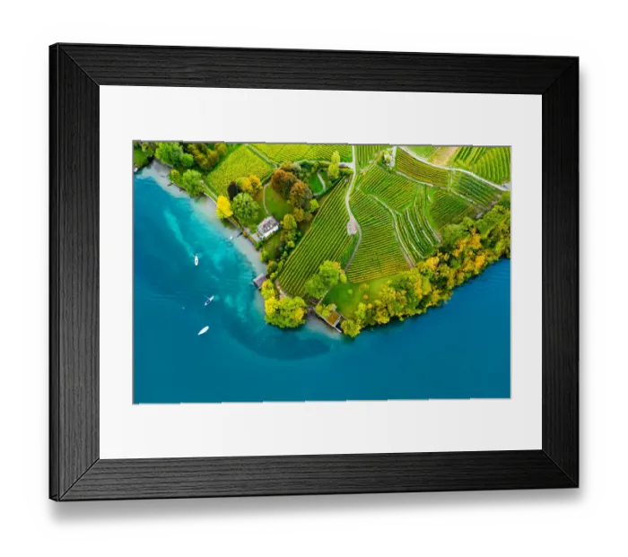Framed Print : Vineyards on the lake Thun in the Bernese Oberland of Switzerland Framed Print : Vineyards on the lake Thun in the Bernese Oberland of Switzerland