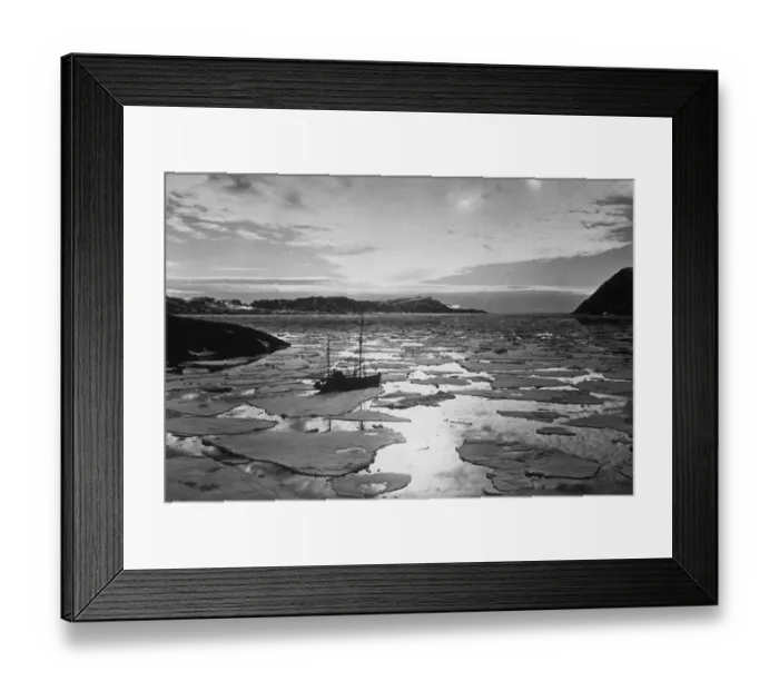 Framed Print : Caught In Ice Framed Print : Caught In Ice