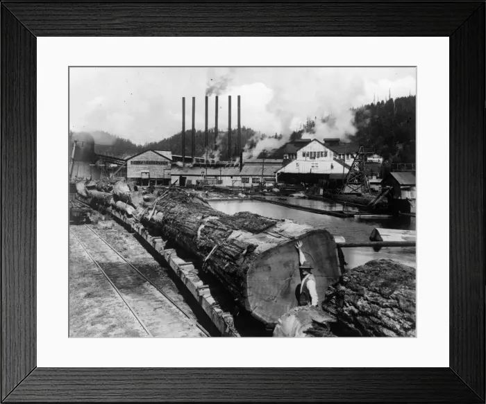 Framed Print : Fallen Giant Framed Print : Fallen Giant
