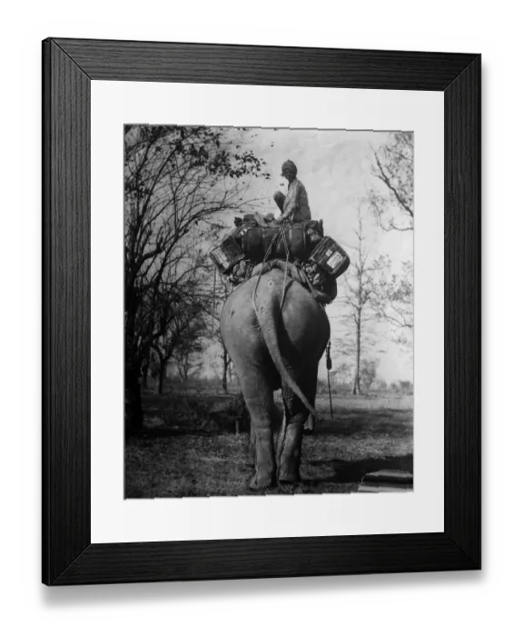 Framed Print : Back View. circa 1930: A passenger balances on top of luggage piled high