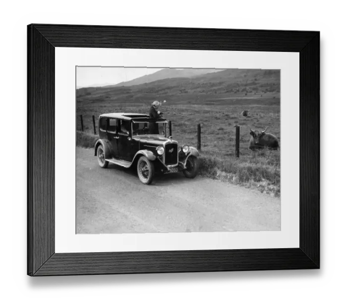 Framed Print : Cattle Stop