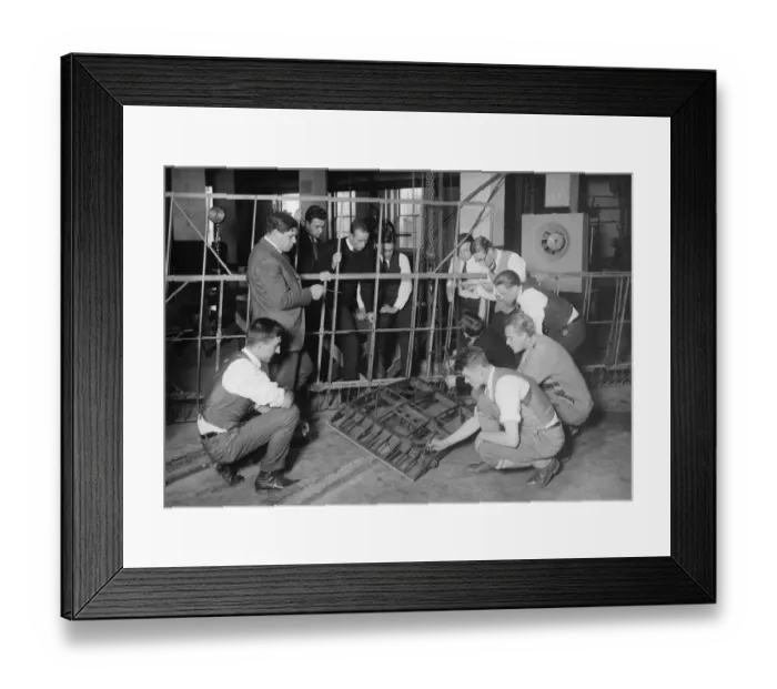 Framed Print : Wing Structure